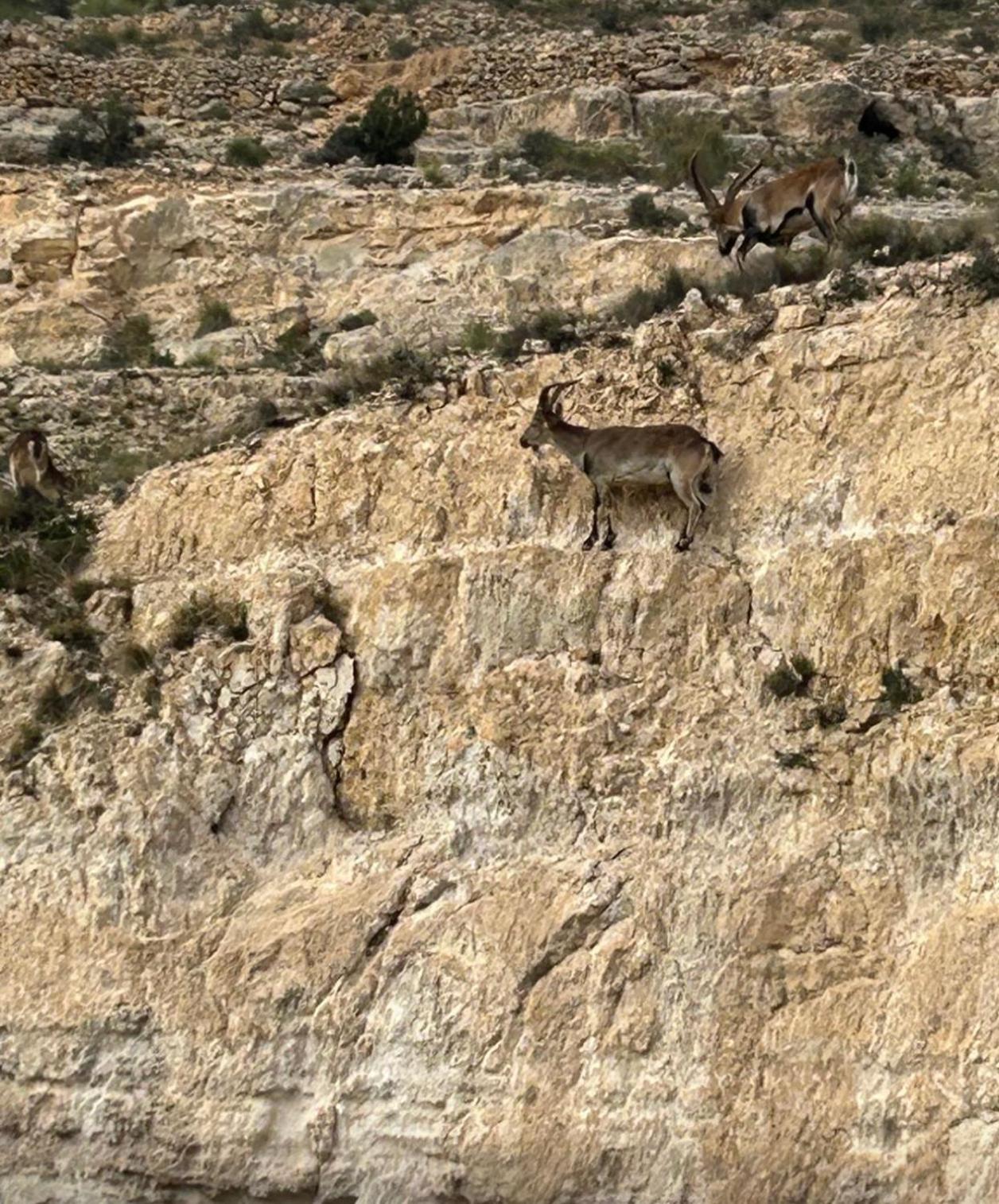 אלקלה דל חוקאר Casa Rural El Encanto De La Gila מראה חיצוני תמונה